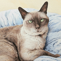 Karen Frampton, New Forest Artist, paintings, greeting cards, murals, slate, Hampshire, UK